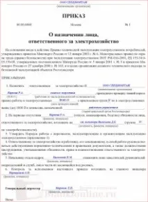 Наказ про призначення відповідального за електрогосподарство призначення