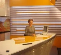 ведучий