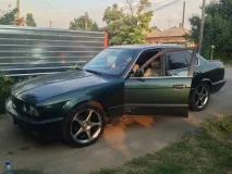домашніх