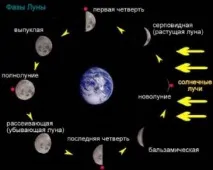 фази