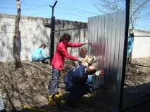 Пункт тимчасового перебування бездомних собак будується у Біробіджані тимчасового