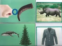Ребуси, як частина гри» ребуси