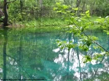 Дозвіл на ставок, ПермакультУРА - стратегія особистої продовольчоїбезпеки ставок