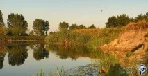 Риболовля на річці Сейм, лов риби на Сеймі сейм