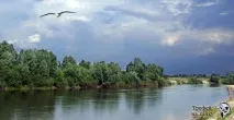 Риболовля на річці Сейм, лов риби на Сеймі річці