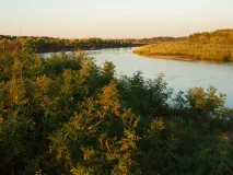 Риба моєї мрії) – Ярмарок Майстрів моєї