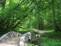 Романівський Парк парк