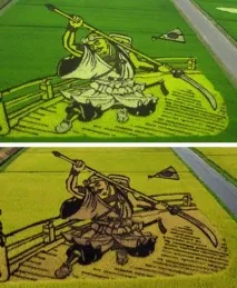 Малюнки на рисових полях малюнки