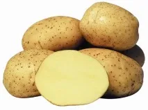 Cele mai potrivite soiuri de cartofi pentru Siberia, Urali, Vesely Urozhaynik