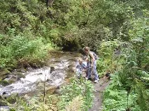 туризм