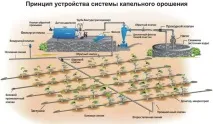Система крапельного поливу своїми руками система