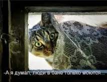 Жарти про лазню та сауну дядько