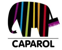 Система утеплення Capatect від Caparol система