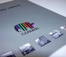 Система утеплення Capatect від Caparol caparol
