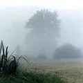 слів