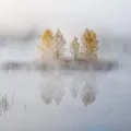 пошук