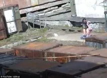 Собаку кинули на поживу ведмедеві для порятунку жінки порятунку