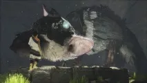 Творець The Last Guardian звернувся до фанів guardian