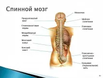 будова