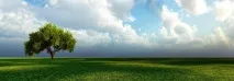 Створення природної водойми на ділянці ділянці