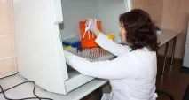 Судмедекспертиза після ДТП терміни та як проводиться проводиться