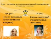 Стрес – це аромат та смак життя смак