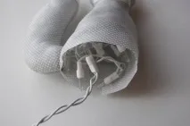 лисиці