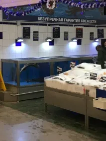 Свіжий осетр гріє пузо гріє