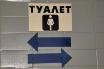 стартує