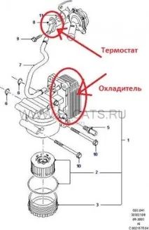 Термостат охолоджувача масла - Клуб любителів мікроавтобусів та мінівенів масла