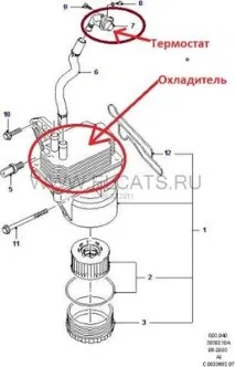 Термостат охолоджувача масла - Клуб любителів мікроавтобусів та мінівенів термостат