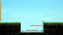 Укладання тротуарної плитки відео плитки