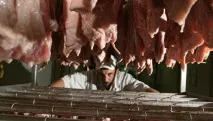 Затверджено порядок видачі ліцензій на ввезення до України м’яса без квоти - РИА Новости видачі