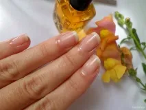 coctail