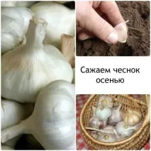 городом