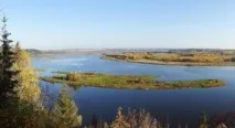 жіночий
