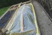 Вирощування розсади у простому парнику - каталог статей на сайті каталог