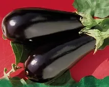 вирощування
