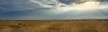Вихід спирту з різних продуктів, І немає нам спокою вихід