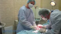 Водянка яєчка може призвести до безпліддя, Проблеми чоловічого та жіночого безпліддя та методи їх вирішення яєчка