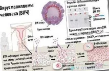 відповіді