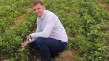Херсонщина буде з полуницею полуниці