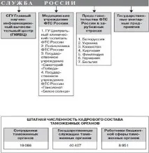 Вступ, Федеральна митна служба України, Структура ФМС України - Аналіз митної служби федеральна