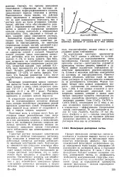 енциклопедія