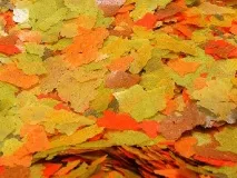 ЗАГОТОВКА КОРМІВ І ГОДУВАННЯ РИБ - Домашній акваріум кормів