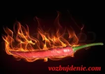 Жіночий збудник у домашніх умовах збудник