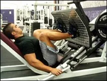 Жим ногами у тренажері, Wolf Workout тренажері