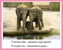 Жіночий клуб Тетяни Русиної - Виїзний інтенсив «Тотальне перезавантаження» тетяни