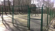 Життя собаче десять проблем, з якими стикаються власники чотирилапих, Наше Місто якими