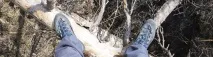Зимовий похід, встановлення намету, розведення багаття, одяг для зимового походу намету